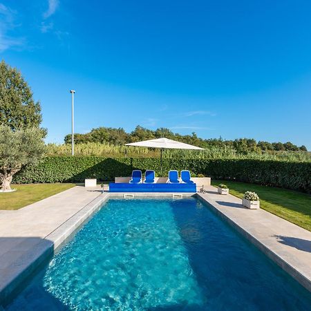 Apartment Lunne Novigrad  Zewnętrze zdjęcie